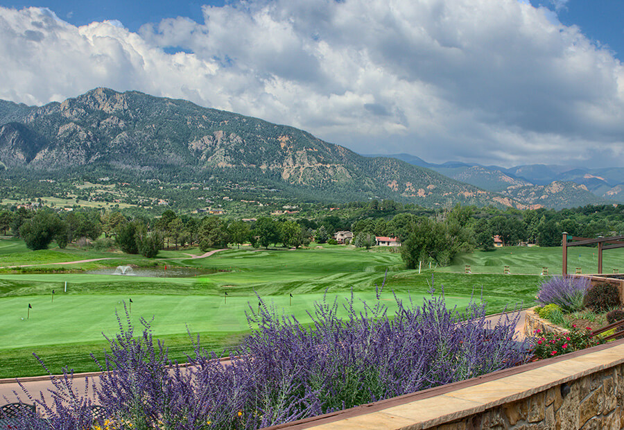 golf course with purple flowers in the foreground
